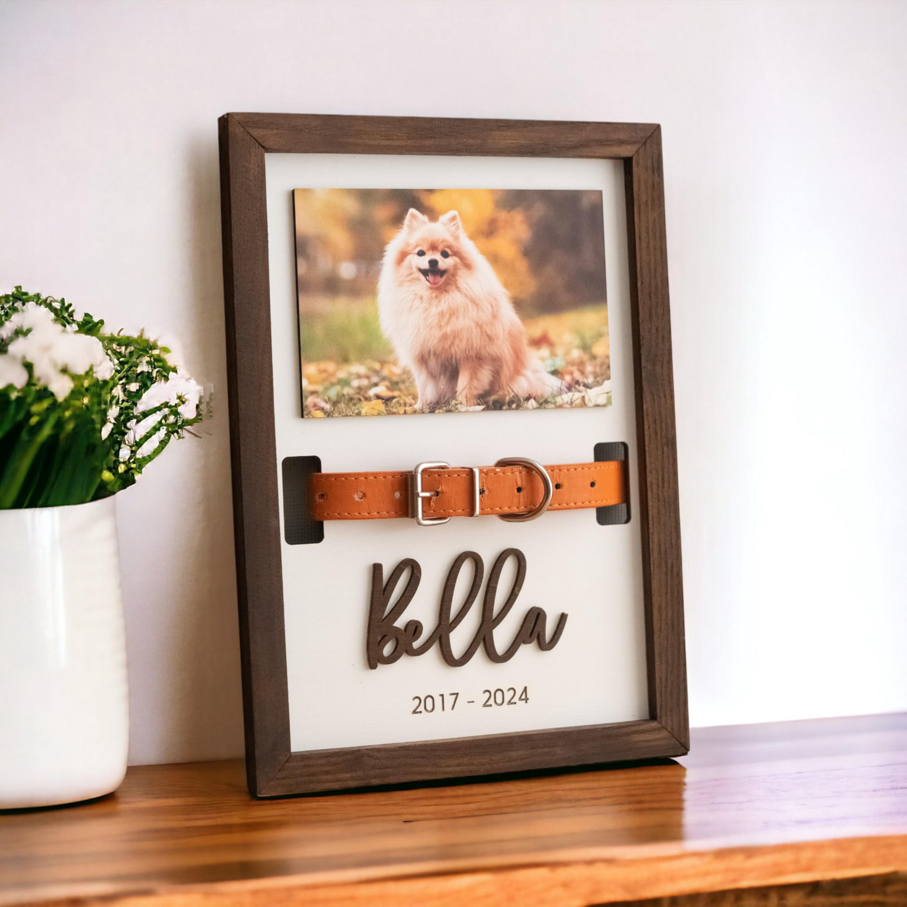 Pet Memorial Collar Holder, Remembrance Frame, Pet Memorial Picture, Gift For Pet Loss, Cat Memorial, Dog Collar Holder