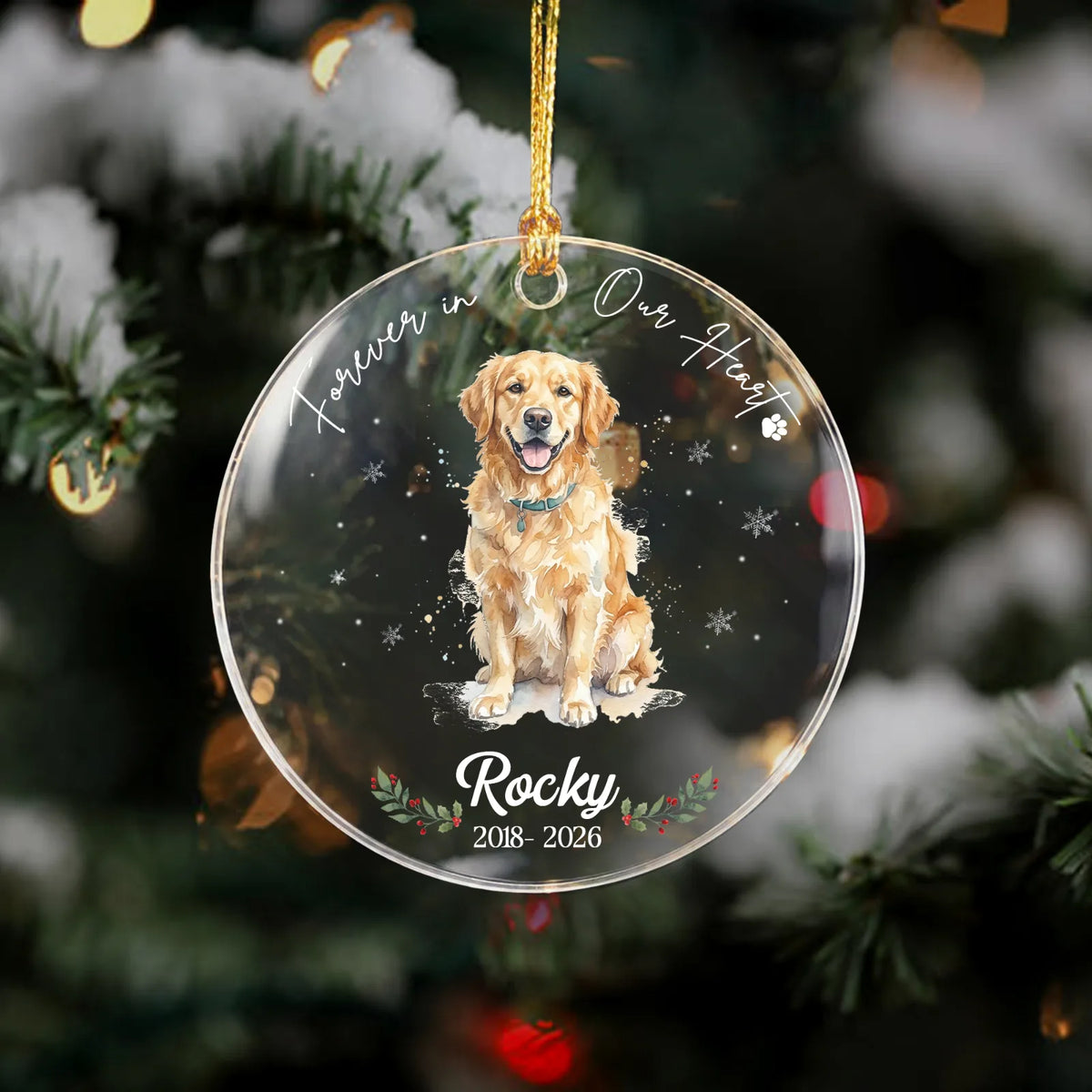 dog 1.webp